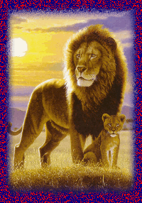 lions